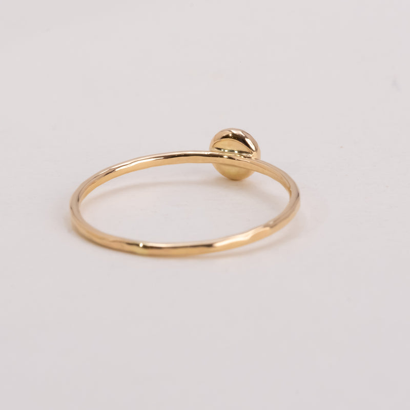 願い事のリング Night