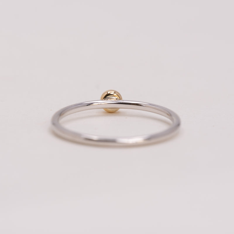 DUAL RING｜ブラックダイヤモンド K14×シルバーリング – lily & co.